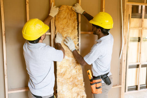 Best Insulation Repair Services  in Cedar Grove, FL